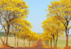 O DEPARTAMENTO MUNICIPAL DE MEIO AMBIENTE, CRIA PROJETO DE EDUCAÇÃO AMBIENTAL VOLTADO PARA A ARBORIZAÇÃO URBANA, “MEU PÉ DE QUE”.