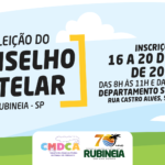 Conselho Tutelar
